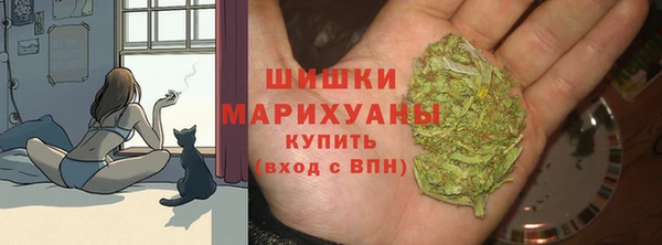 гашик Беломорск