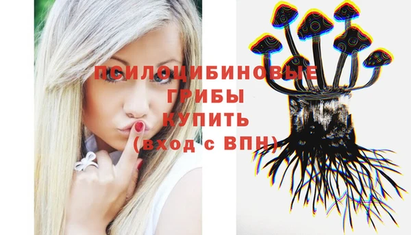 гашик Беломорск