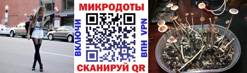 Псилоцибиновые грибы прущие грибы  Шумерля 
